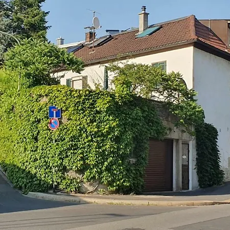 Kempf Nahe Uniklinik